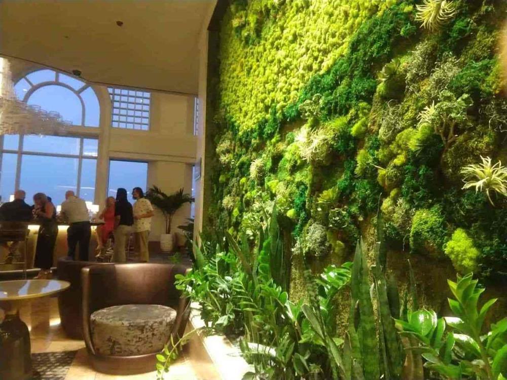 معماری بیوفیلیک در طراحی فضاهای عمومی