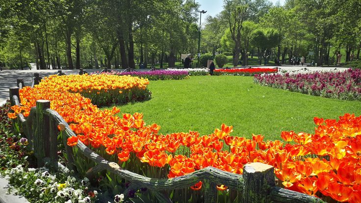 پوشش گیاهی و فضای سبز پارک ملت تهران 