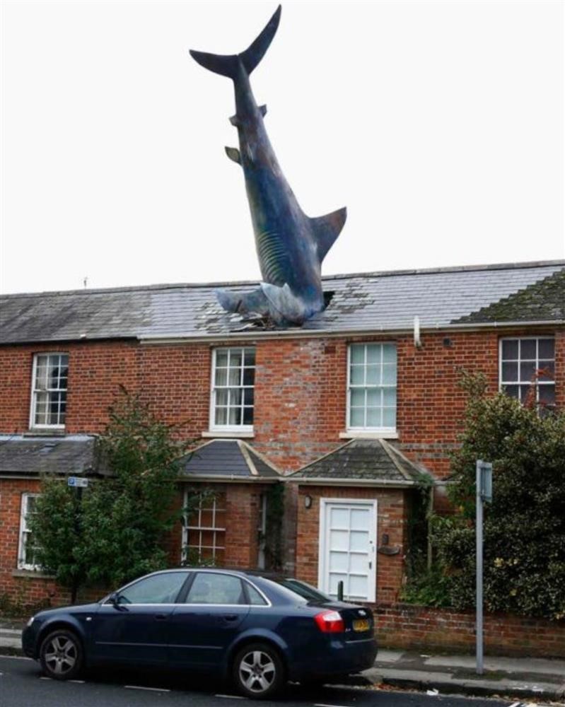 کوسه هدینگتون بر روی بام، اثر هنری اعتراضی | آکسفورد انگلستان